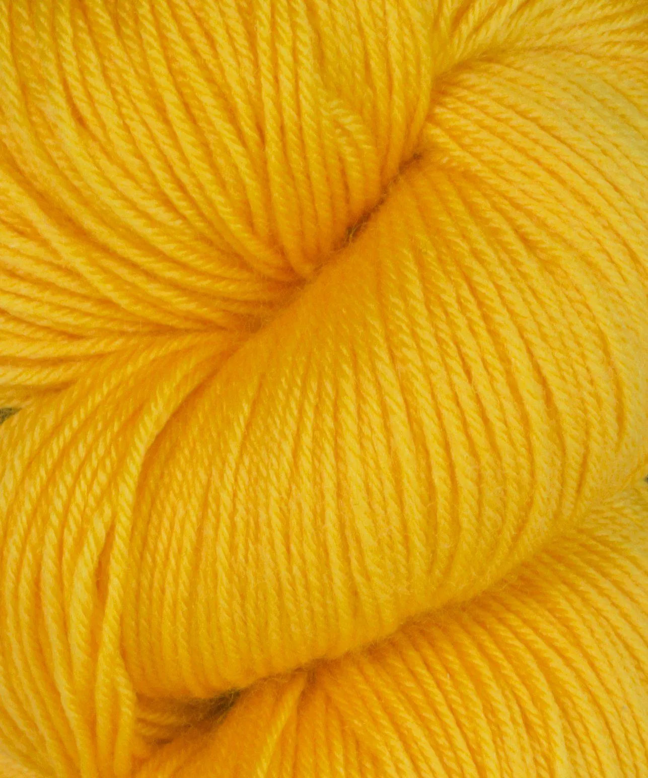 Cascade Heritage Sock Yarn