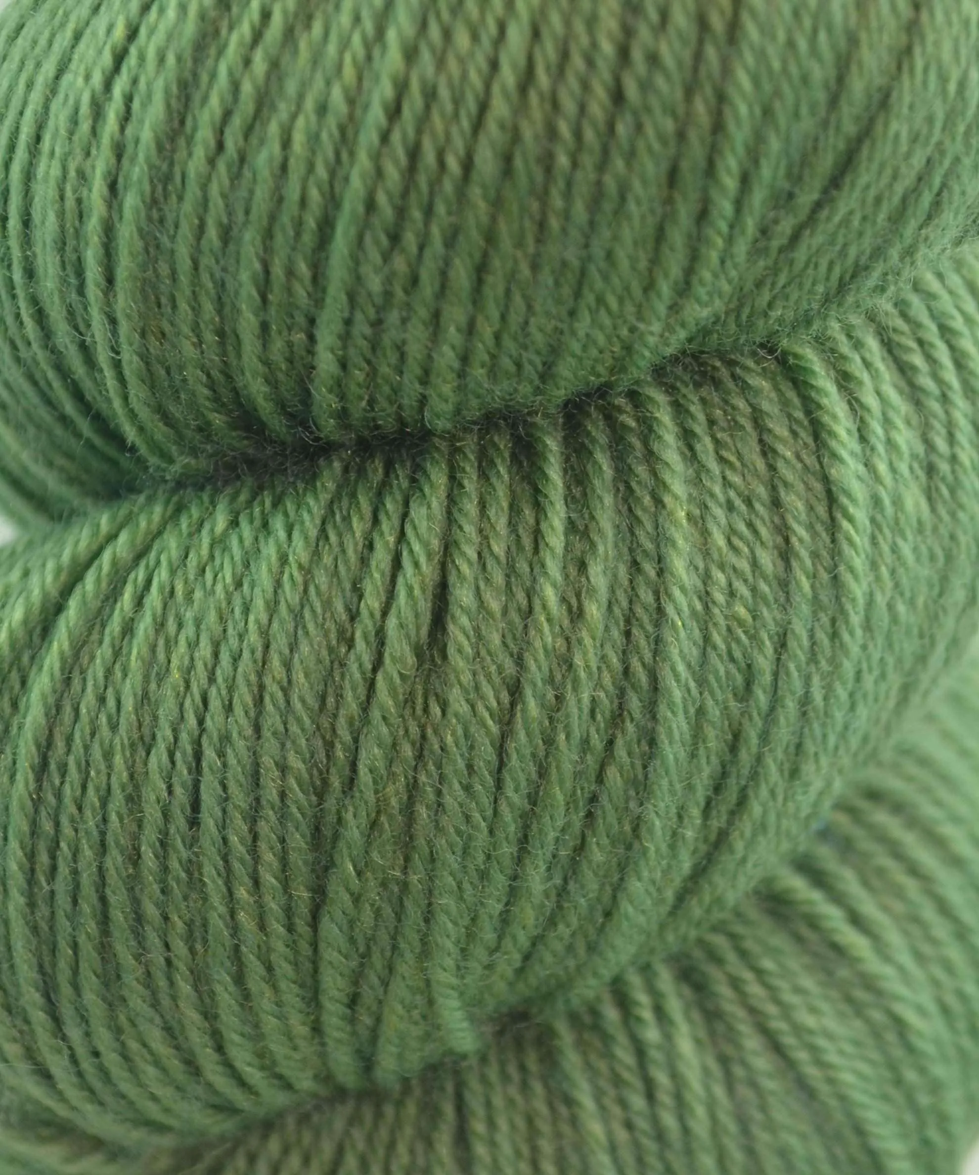 Cascade Heritage Sock Yarn